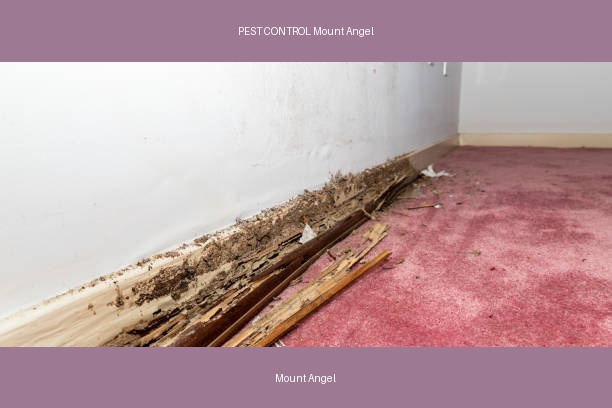 PEST CONTROL Mount Angel